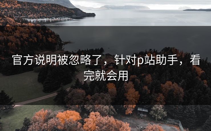 官方说明被忽略了，针对p站助手，看完就会用