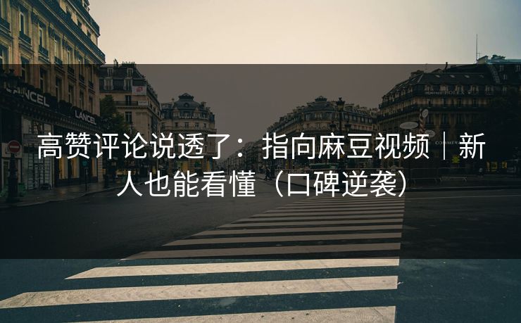 高赞评论说透了：指向麻豆视频｜新人也能看懂（口碑逆袭）