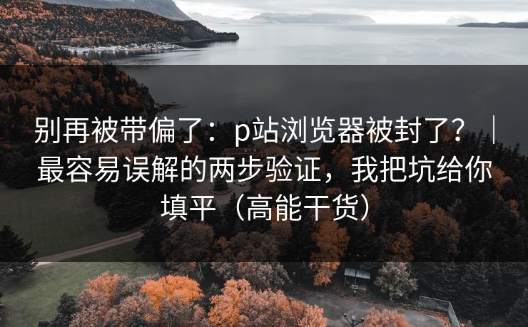 别再被带偏了：p站浏览器被封了？｜最容易误解的两步验证，我把坑给你填平（高能干货）