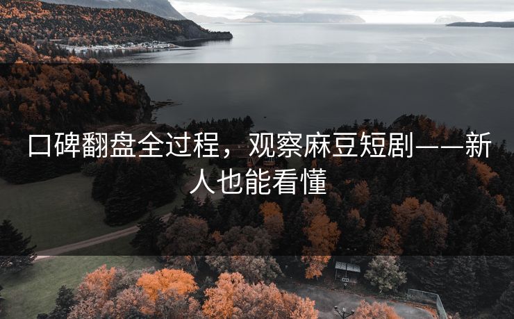 口碑翻盘全过程，观察麻豆短剧——新人也能看懂