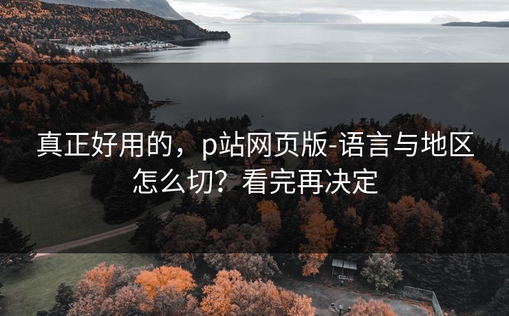 真正好用的，p站网页版-语言与地区怎么切？看完再决定