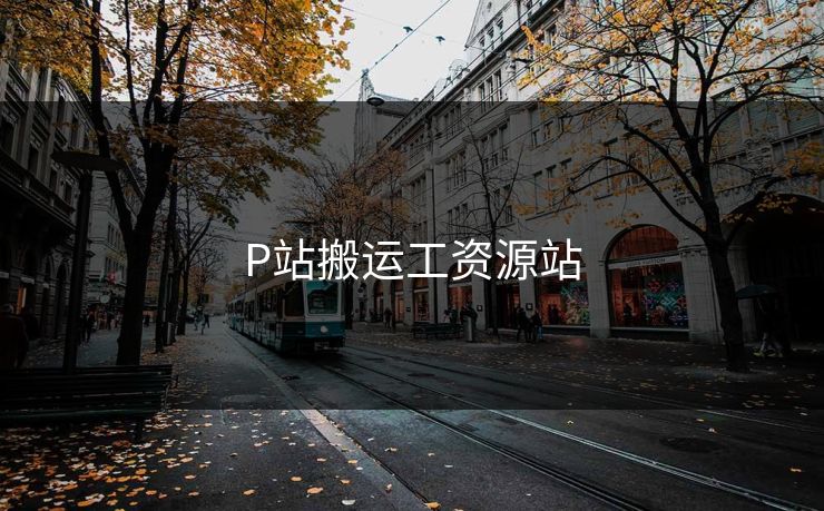 P站搬运工资源站