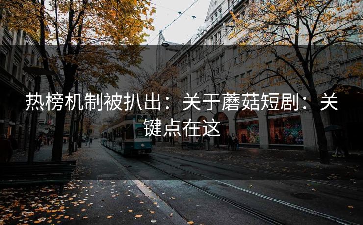 热榜机制被扒出：关于蘑菇短剧：关键点在这