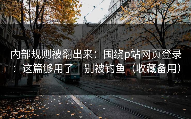 内部规则被翻出来：围绕p站网页登录：这篇够用了｜别被钓鱼（收藏备用）