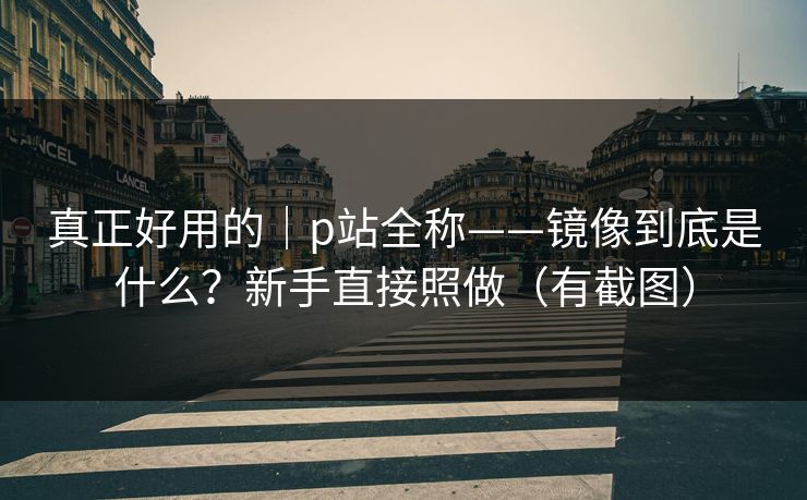 真正好用的｜p站全称——镜像到底是什么？新手直接照做（有截图）