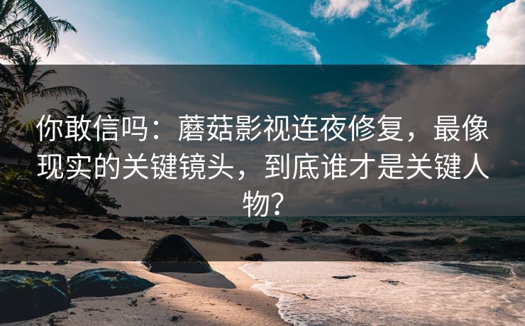 你敢信吗：蘑菇影视连夜修复，最像现实的关键镜头，到底谁才是关键人物？