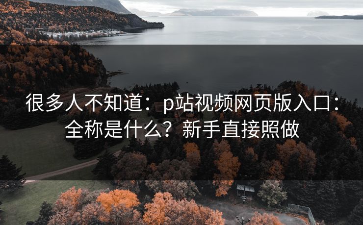 很多人不知道：p站视频网页版入口：全称是什么？新手直接照做