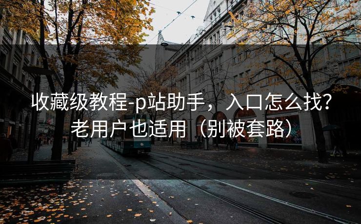 收藏级教程-p站助手，入口怎么找？老用户也适用（别被套路）