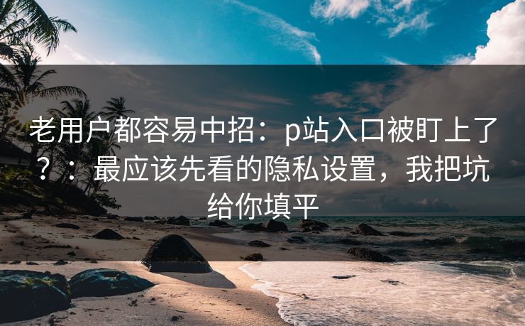 老用户都容易中招：p站入口被盯上了？：最应该先看的隐私设置，我把坑给你填平