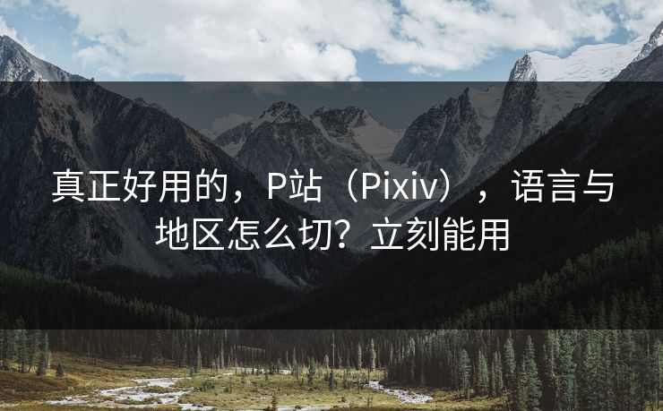 真正好用的，P站（Pixiv），语言与地区怎么切？立刻能用